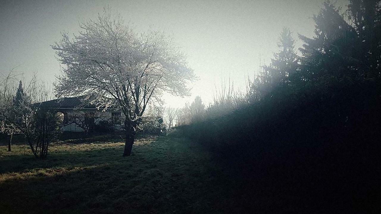 Ritratto Sul Lago Dormelletto Exterior foto